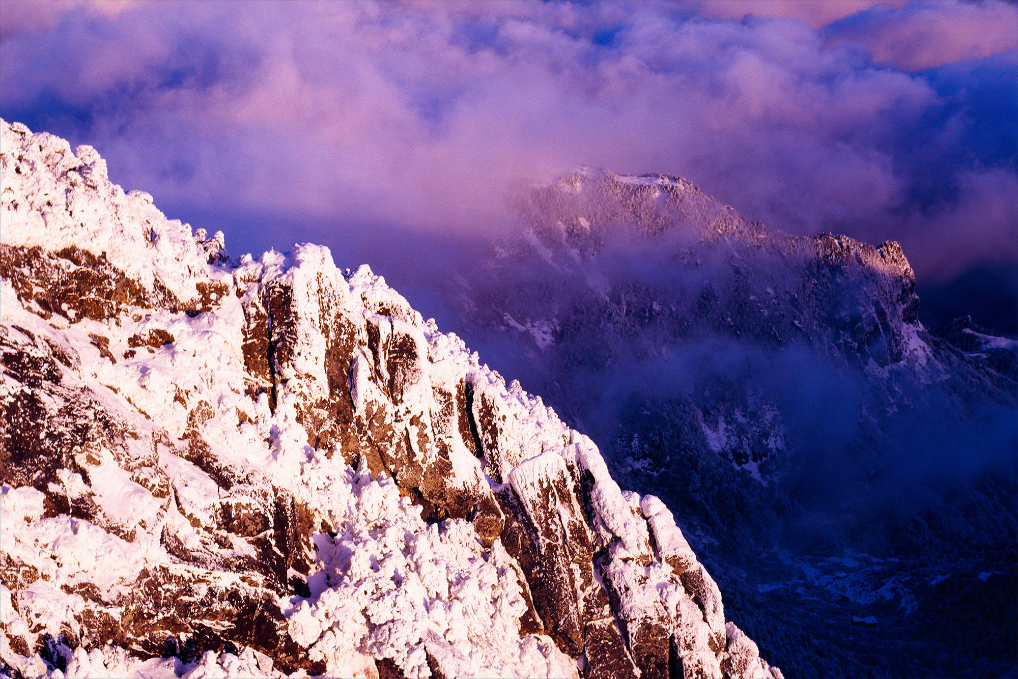 bae4285c7b30dc02067e8e345ef60948_1764264379_0661.jpg bae4285c7b30dc02067e8e345ef60948_1764264379_0661.jpg