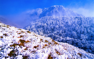 서북벽코스에서-