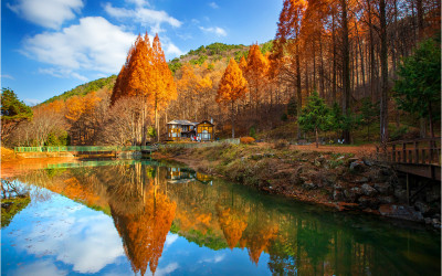 온빛자연휴양림 !!!