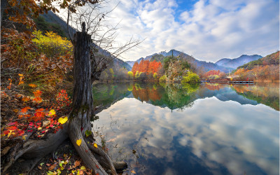 장태산 장안지  ~!!!