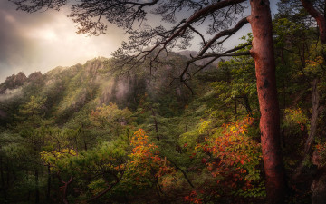 토왕폭포가는길