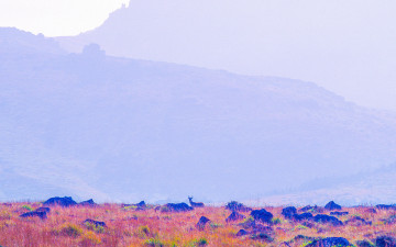 어리목코스에서