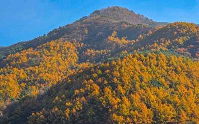 단석산 자락 장군봉