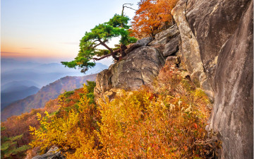 놀면 뭐하나 ???