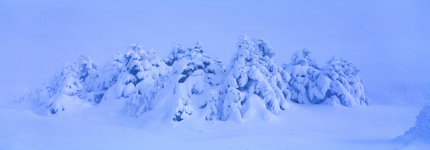 277fee427c89b6a763d4083d472b01d2_1766705380_9646.jpg 277fee427c89b6a763d4083d472b01d2_1766705380_9646.jpg