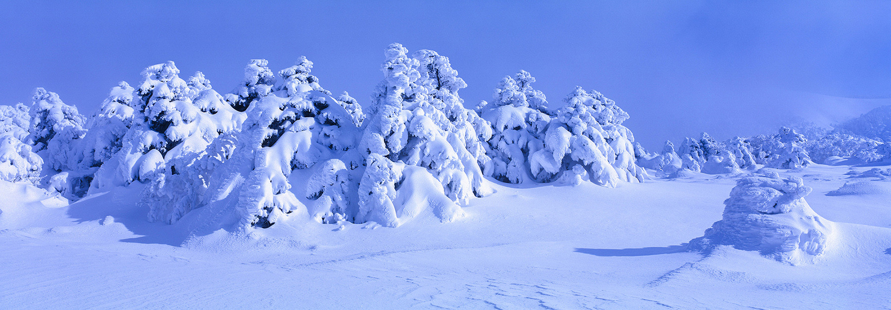 277fee427c89b6a763d4083d472b01d2_1766705381_1117.jpg 277fee427c89b6a763d4083d472b01d2_1766705381_1117.jpg