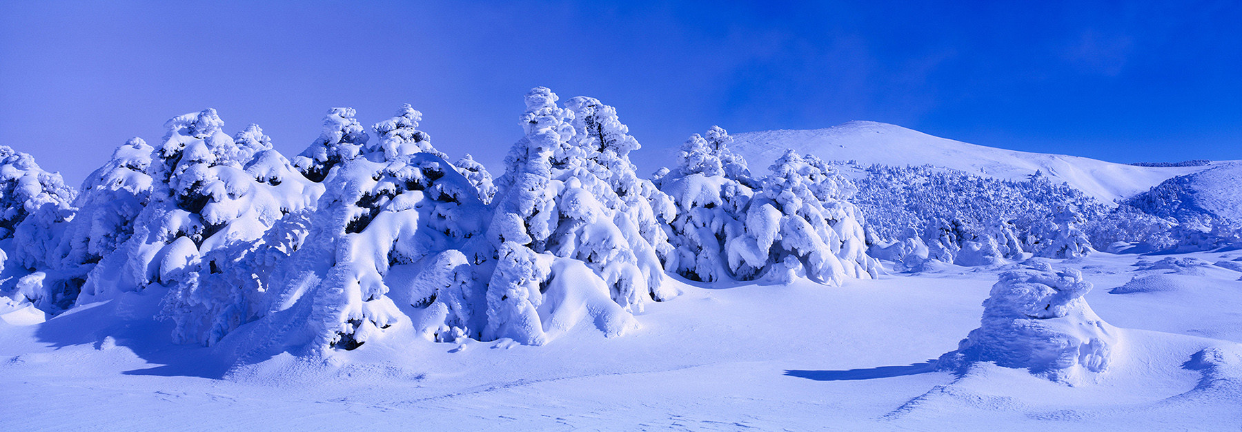 277fee427c89b6a763d4083d472b01d2_1766705381_2633.jpg 277fee427c89b6a763d4083d472b01d2_1766705381_2633.jpg