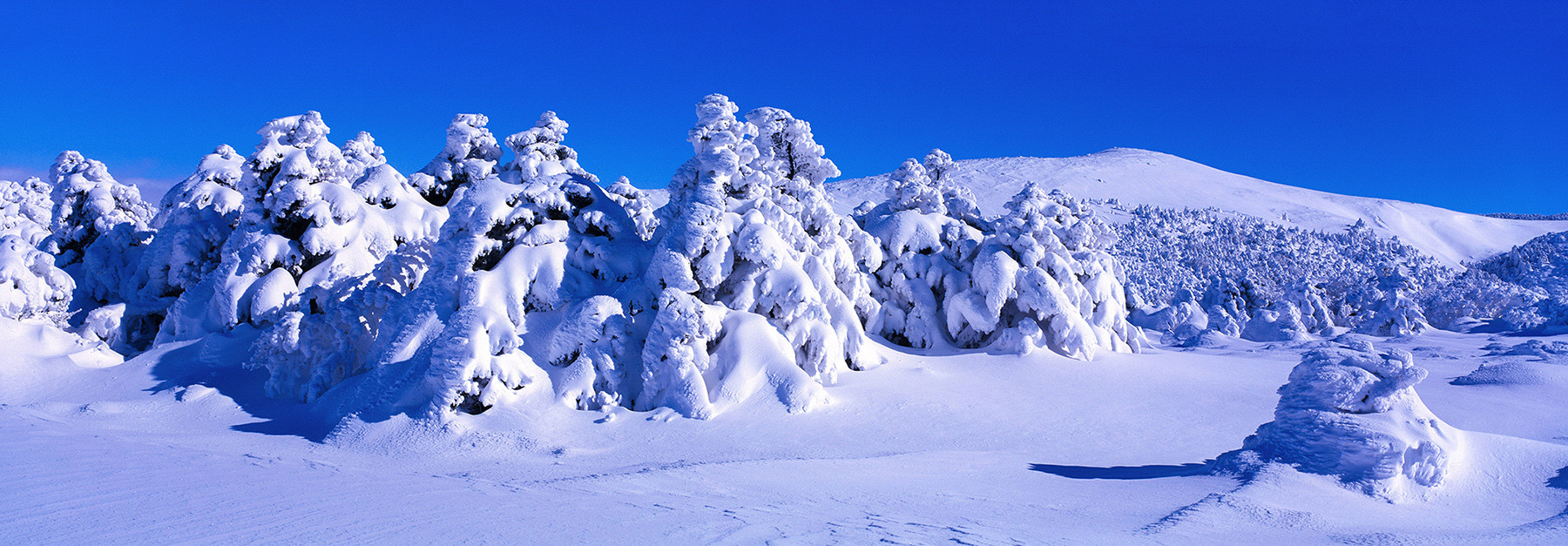 277fee427c89b6a763d4083d472b01d2_1766705381_4228.jpg 277fee427c89b6a763d4083d472b01d2_1766705381_4228.jpg