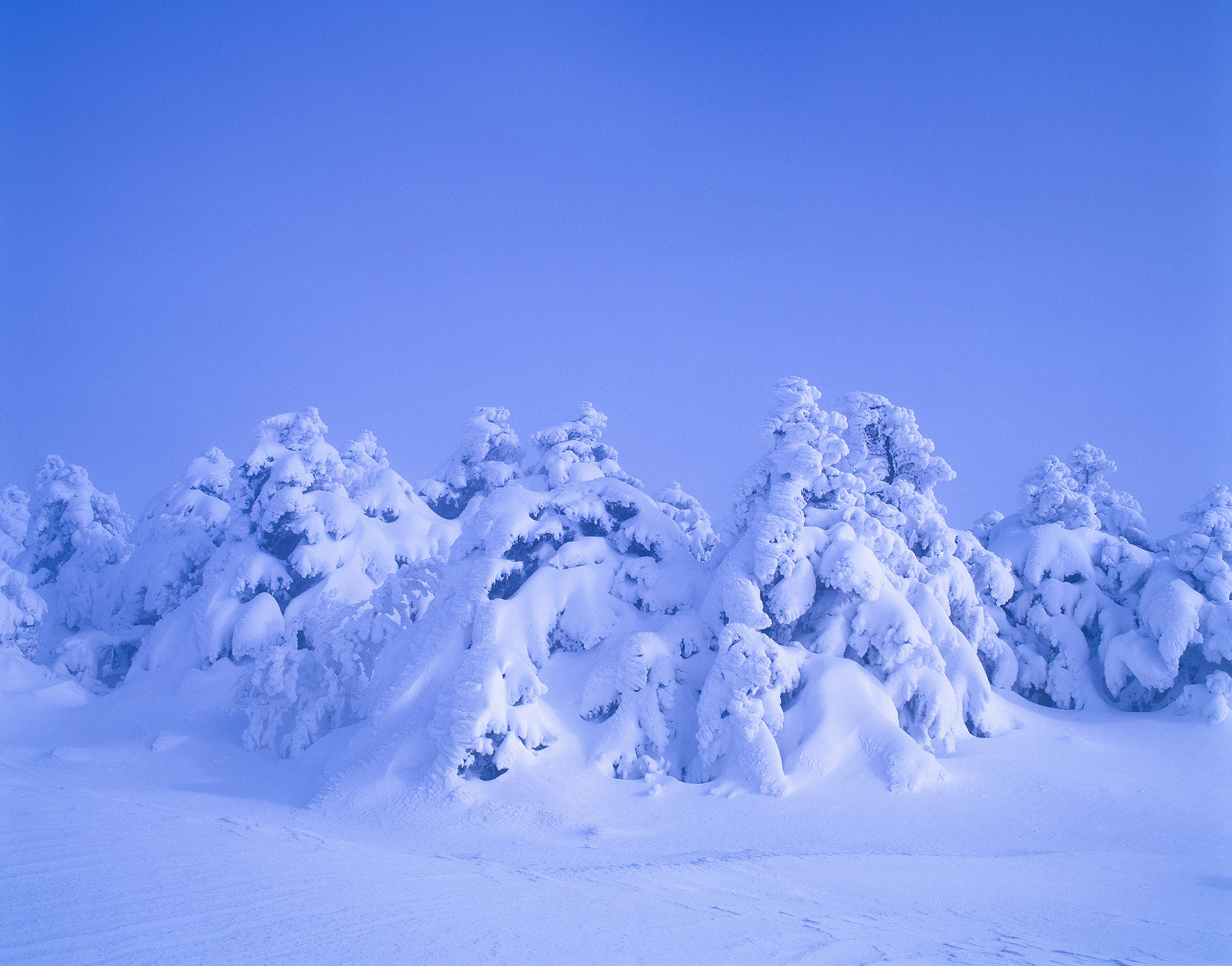 277fee427c89b6a763d4083d472b01d2_1766705403_1607.jpg 277fee427c89b6a763d4083d472b01d2_1766705403_1607.jpg