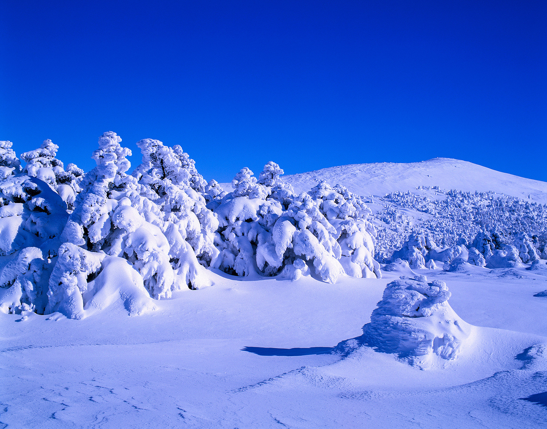 277fee427c89b6a763d4083d472b01d2_1766705403_7653.jpg 277fee427c89b6a763d4083d472b01d2_1766705403_7653.jpg