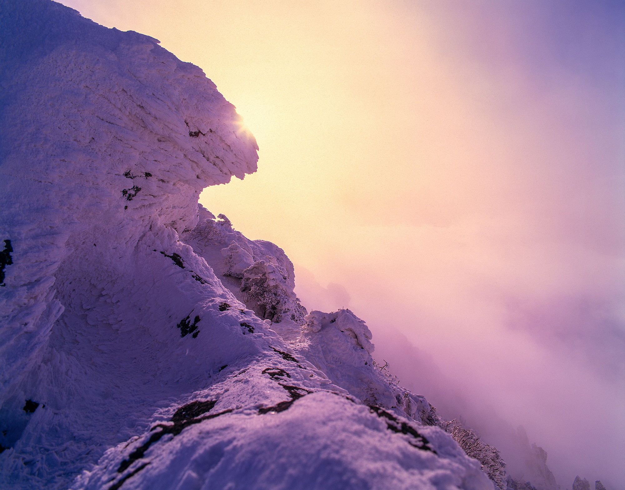 314d04139aa62c8b879b3ef954926b5d_1764880866_0346.jpg 314d04139aa62c8b879b3ef954926b5d_1764880866_0346.jpg