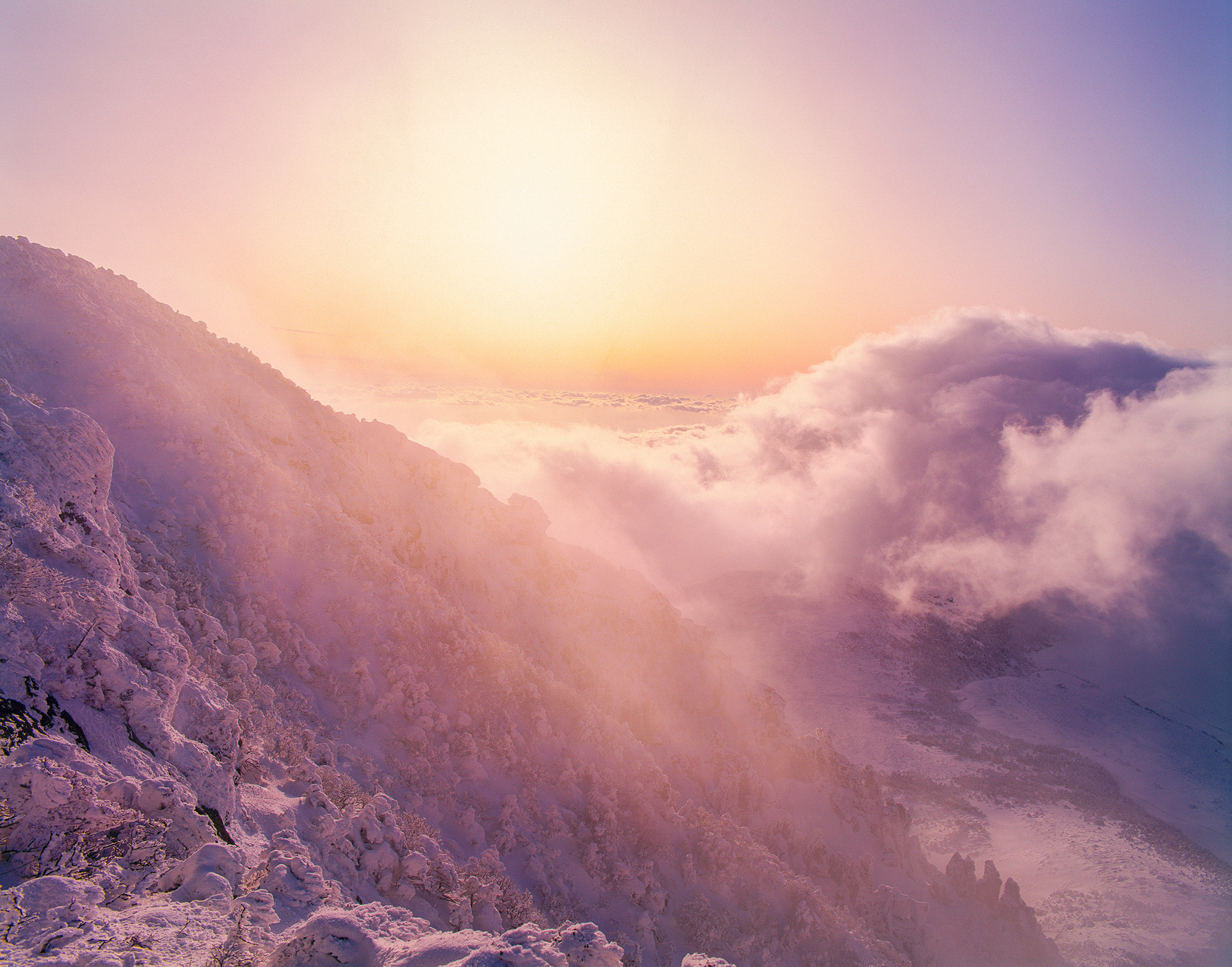 314d04139aa62c8b879b3ef954926b5d_1764880875_0615.jpg 314d04139aa62c8b879b3ef954926b5d_1764880875_0615.jpg