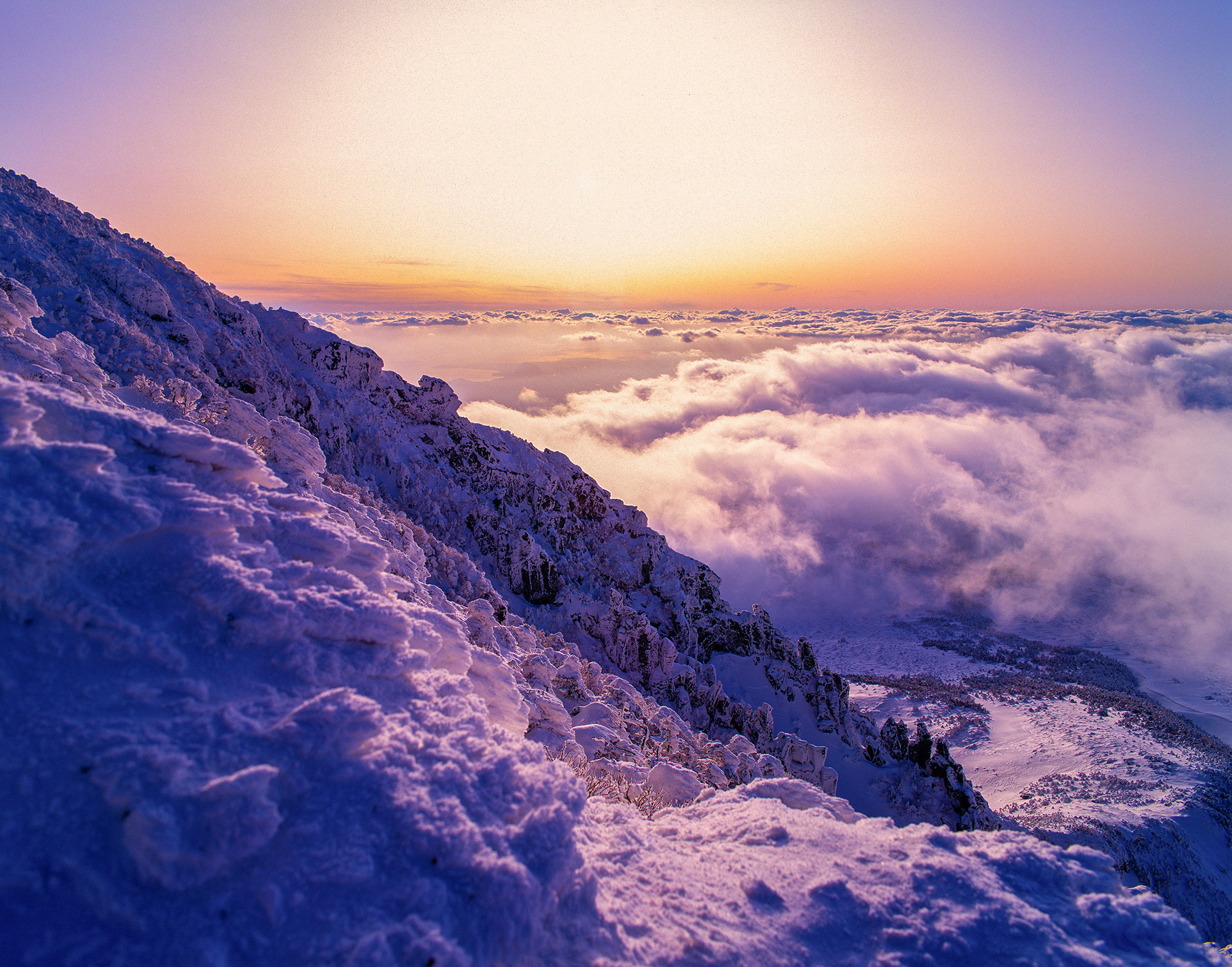 314d04139aa62c8b879b3ef954926b5d_1764880875_4841.jpg 314d04139aa62c8b879b3ef954926b5d_1764880875_4841.jpg