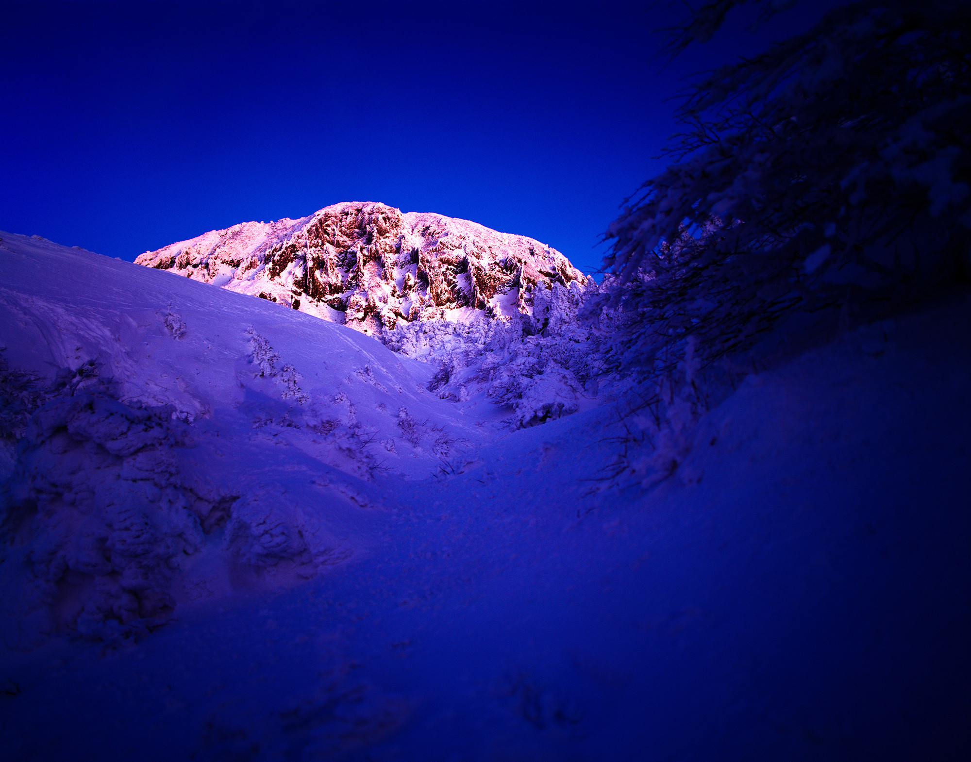 314d04139aa62c8b879b3ef954926b5d_1764880876_6593.jpg 314d04139aa62c8b879b3ef954926b5d_1764880876_6593.jpg