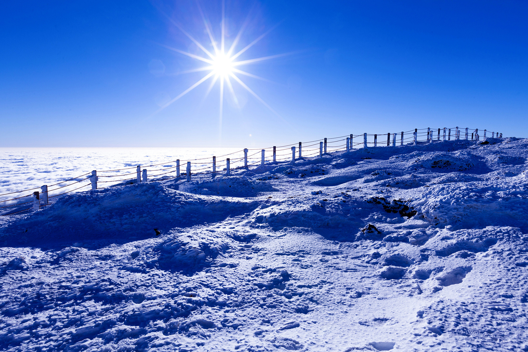 a7d2339c3f3bf5d133f170ebe683c8ea_1765745065_5174.jpg a7d2339c3f3bf5d133f170ebe683c8ea_1765745065_5174.jpg