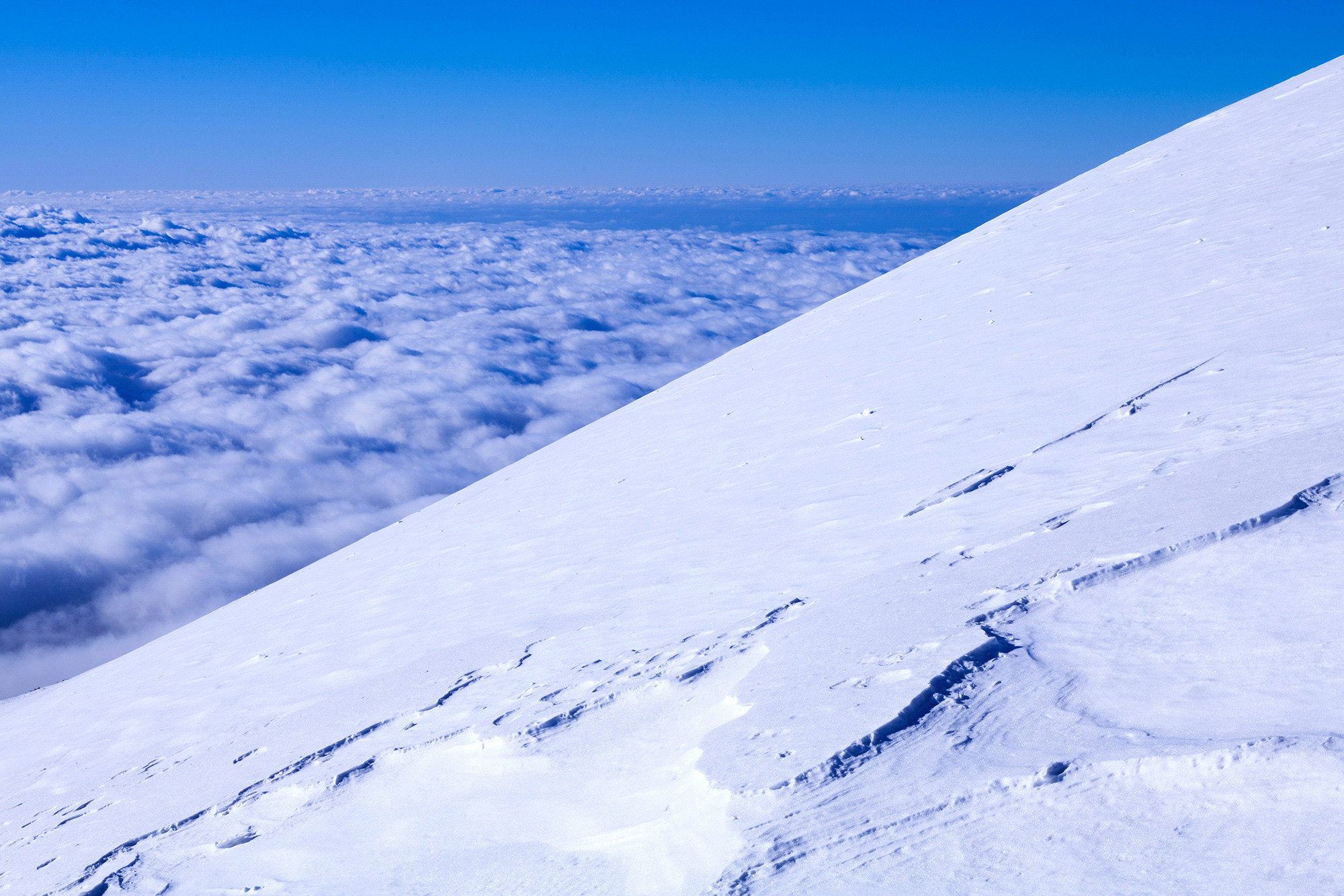 a7d2339c3f3bf5d133f170ebe683c8ea_1765745066_0795.jpg a7d2339c3f3bf5d133f170ebe683c8ea_1765745066_0795.jpg