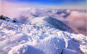 중봉의 추억 !!!