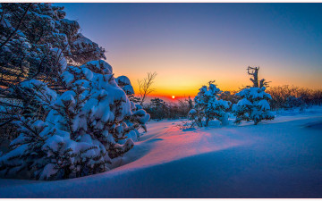 태백산 춘설_2025-03-19