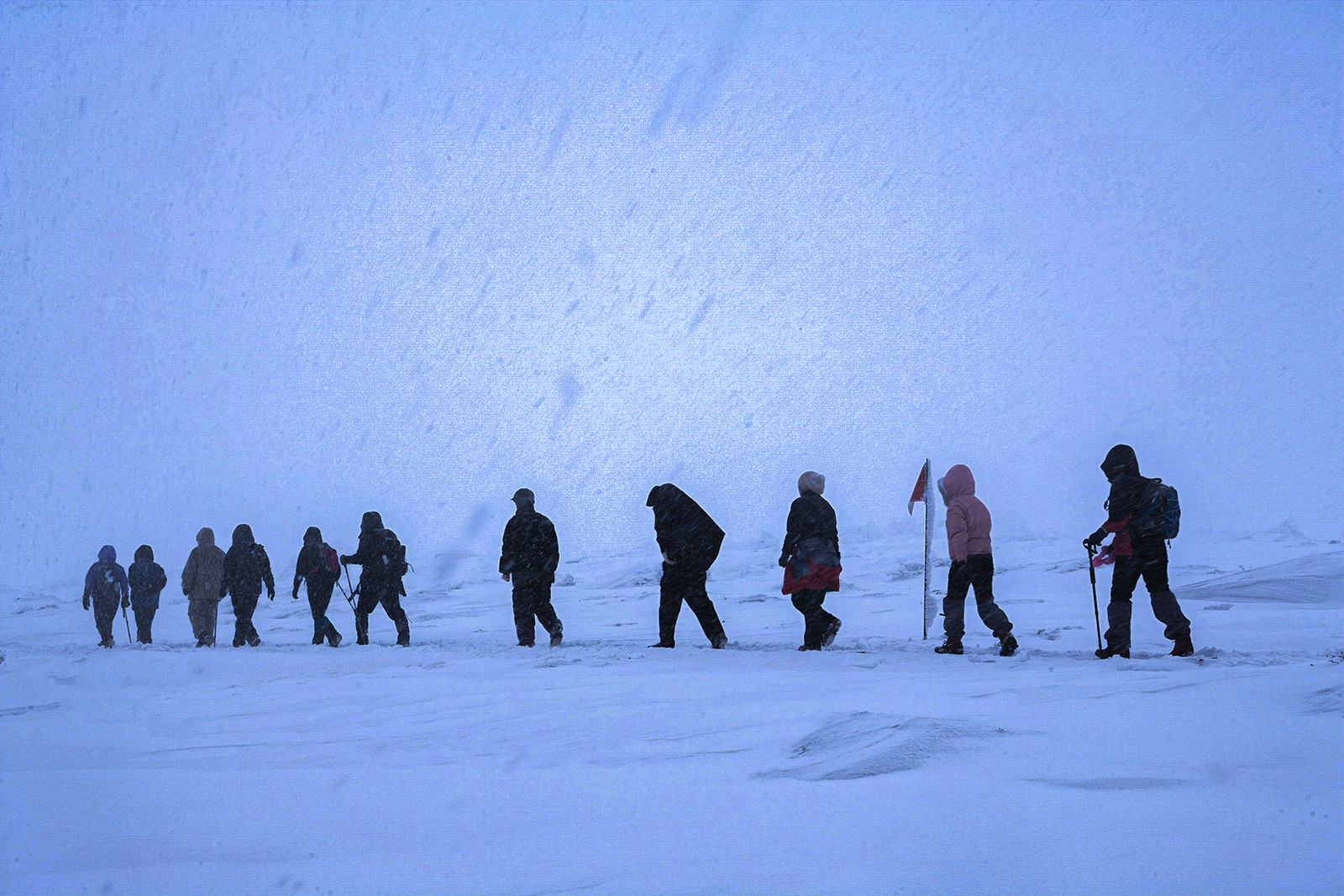 f39f7d3dfd42d9403fa7d6af2e3d82d8_1769719805_553.jpg f39f7d3dfd42d9403fa7d6af2e3d82d8_1769719805_553.jpg