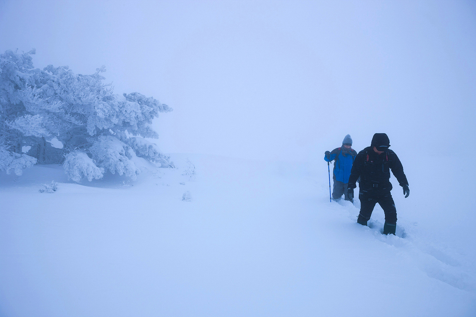 f39f7d3dfd42d9403fa7d6af2e3d82d8_1769719805_728.jpg f39f7d3dfd42d9403fa7d6af2e3d82d8_1769719805_728.jpg