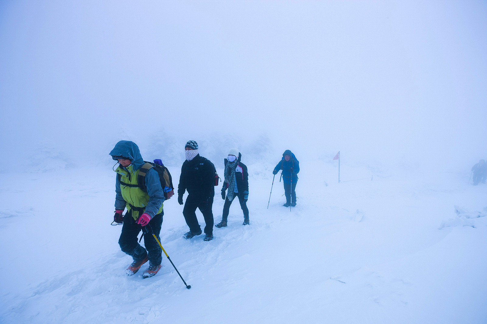 f39f7d3dfd42d9403fa7d6af2e3d82d8_1769719805_8896.jpg f39f7d3dfd42d9403fa7d6af2e3d82d8_1769719805_8896.jpg