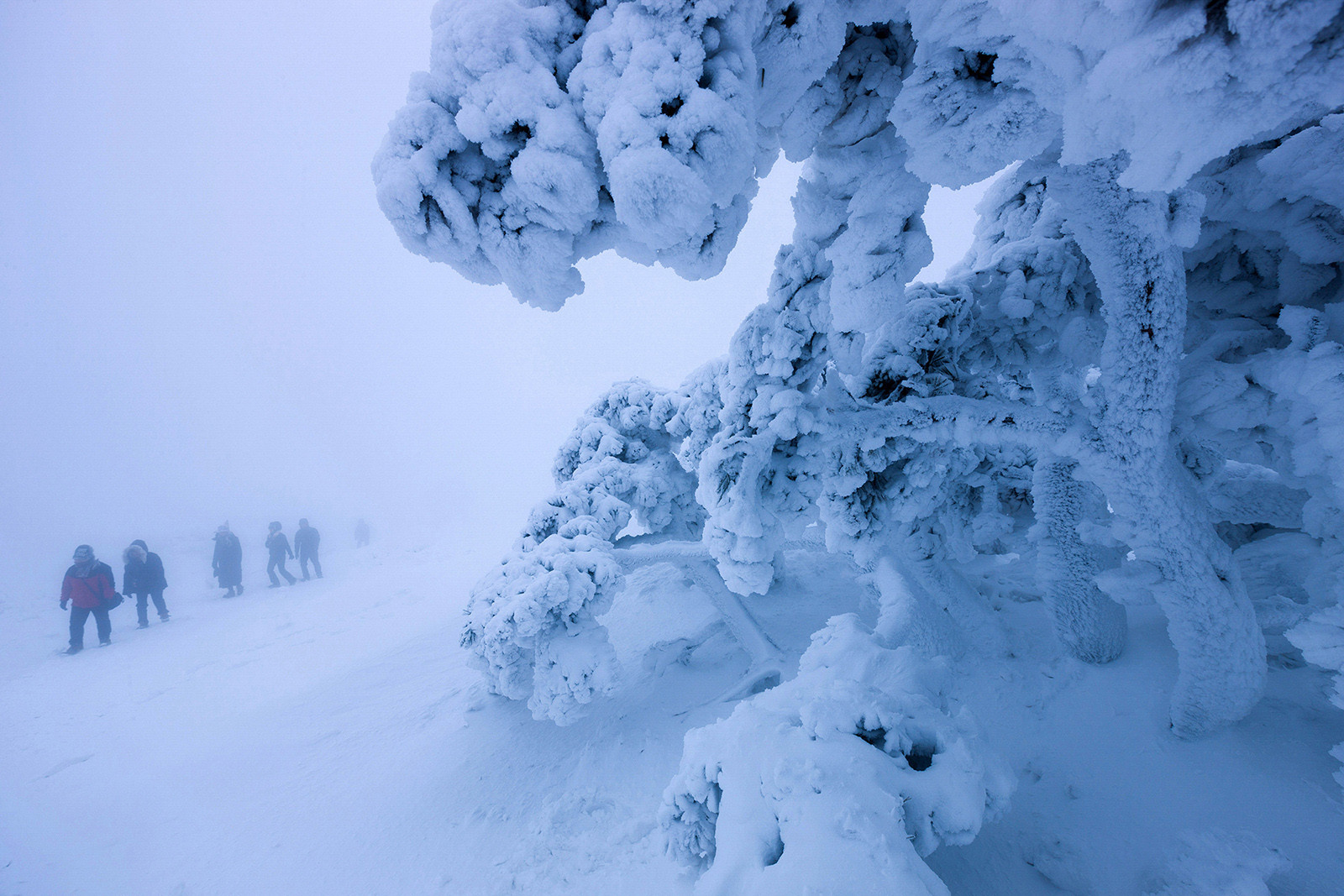 f39f7d3dfd42d9403fa7d6af2e3d82d8_1769719806_063.jpg f39f7d3dfd42d9403fa7d6af2e3d82d8_1769719806_063.jpg