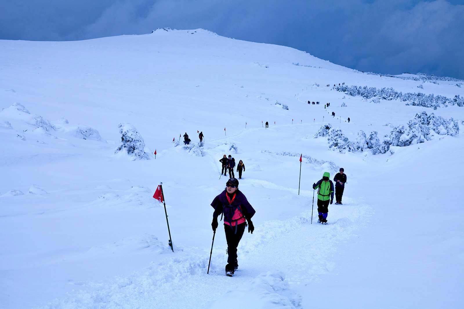 f39f7d3dfd42d9403fa7d6af2e3d82d8_1769719806_7698.jpg f39f7d3dfd42d9403fa7d6af2e3d82d8_1769719806_7698.jpg