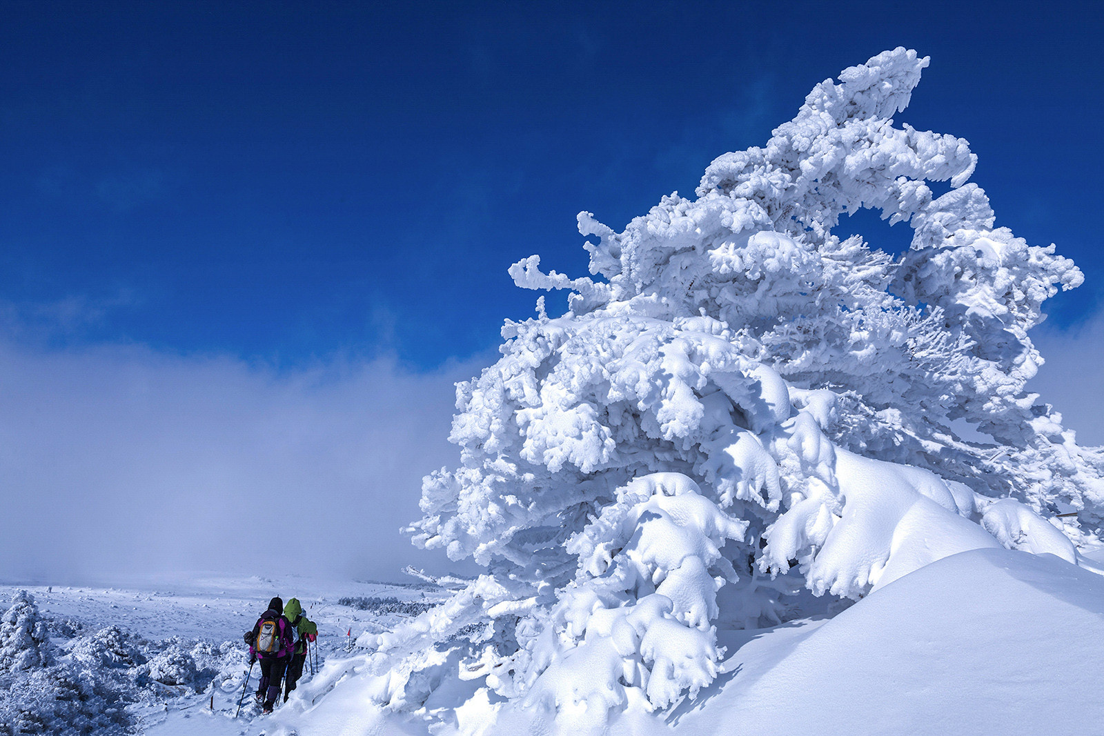 f39f7d3dfd42d9403fa7d6af2e3d82d8_1769719806_9897.jpg f39f7d3dfd42d9403fa7d6af2e3d82d8_1769719806_9897.jpg