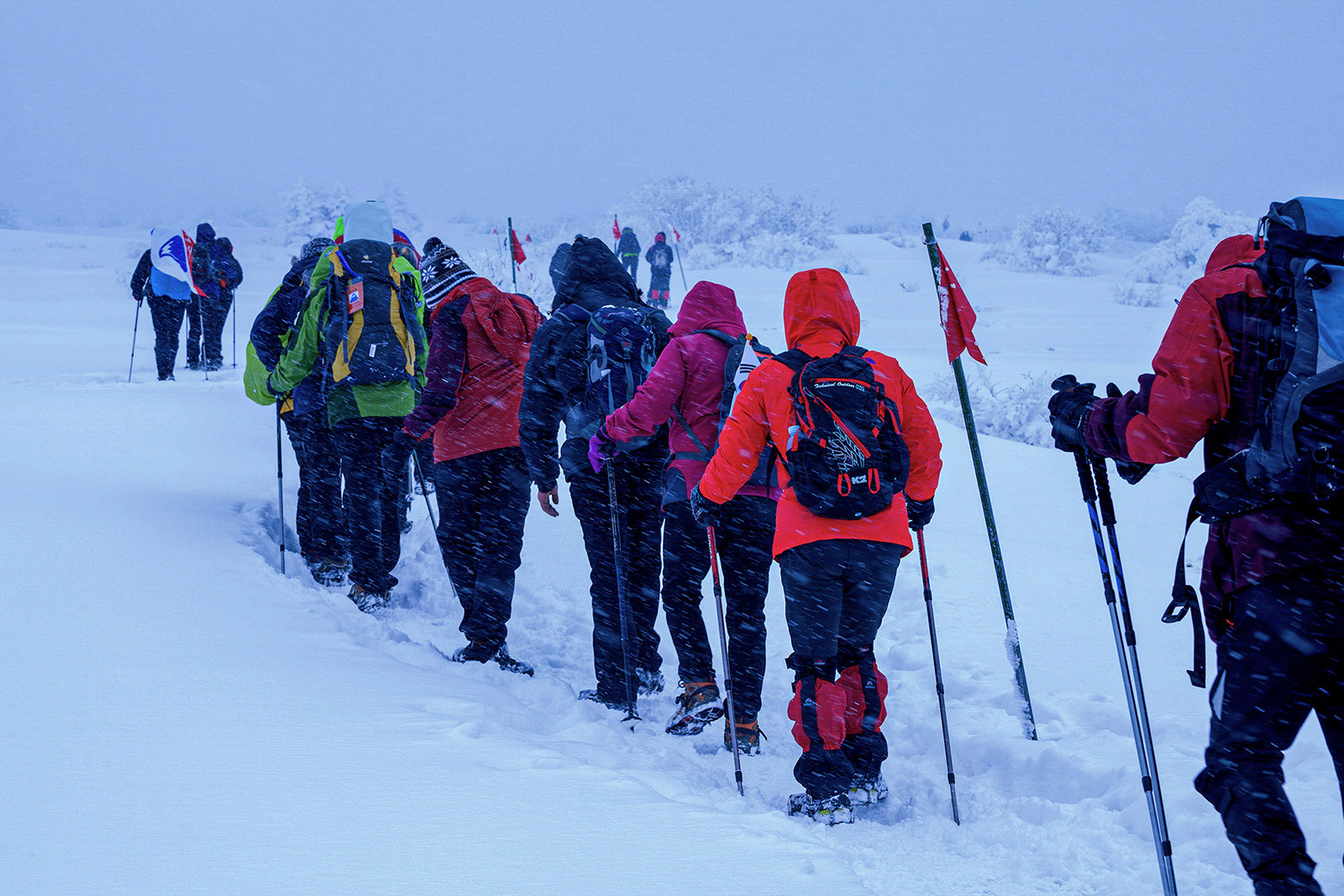 f39f7d3dfd42d9403fa7d6af2e3d82d8_1769719807_1886.jpg f39f7d3dfd42d9403fa7d6af2e3d82d8_1769719807_1886.jpg