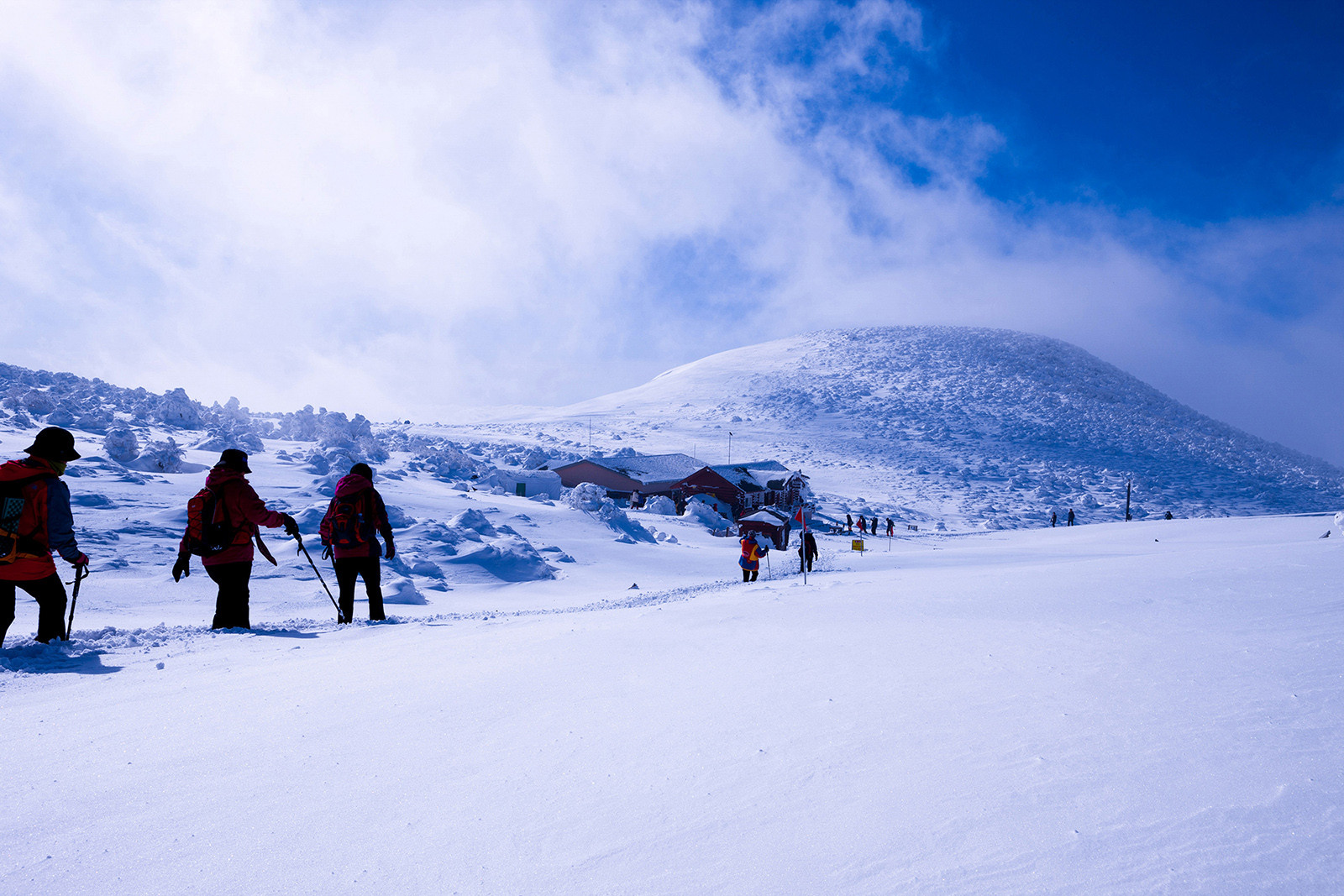 f39f7d3dfd42d9403fa7d6af2e3d82d8_1769719851_1304.jpg f39f7d3dfd42d9403fa7d6af2e3d82d8_1769719851_1304.jpg