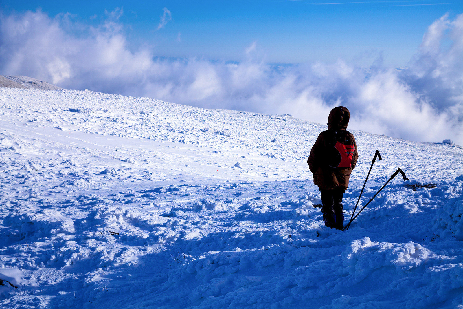 f39f7d3dfd42d9403fa7d6af2e3d82d8_1769719851_3796.jpg f39f7d3dfd42d9403fa7d6af2e3d82d8_1769719851_3796.jpg