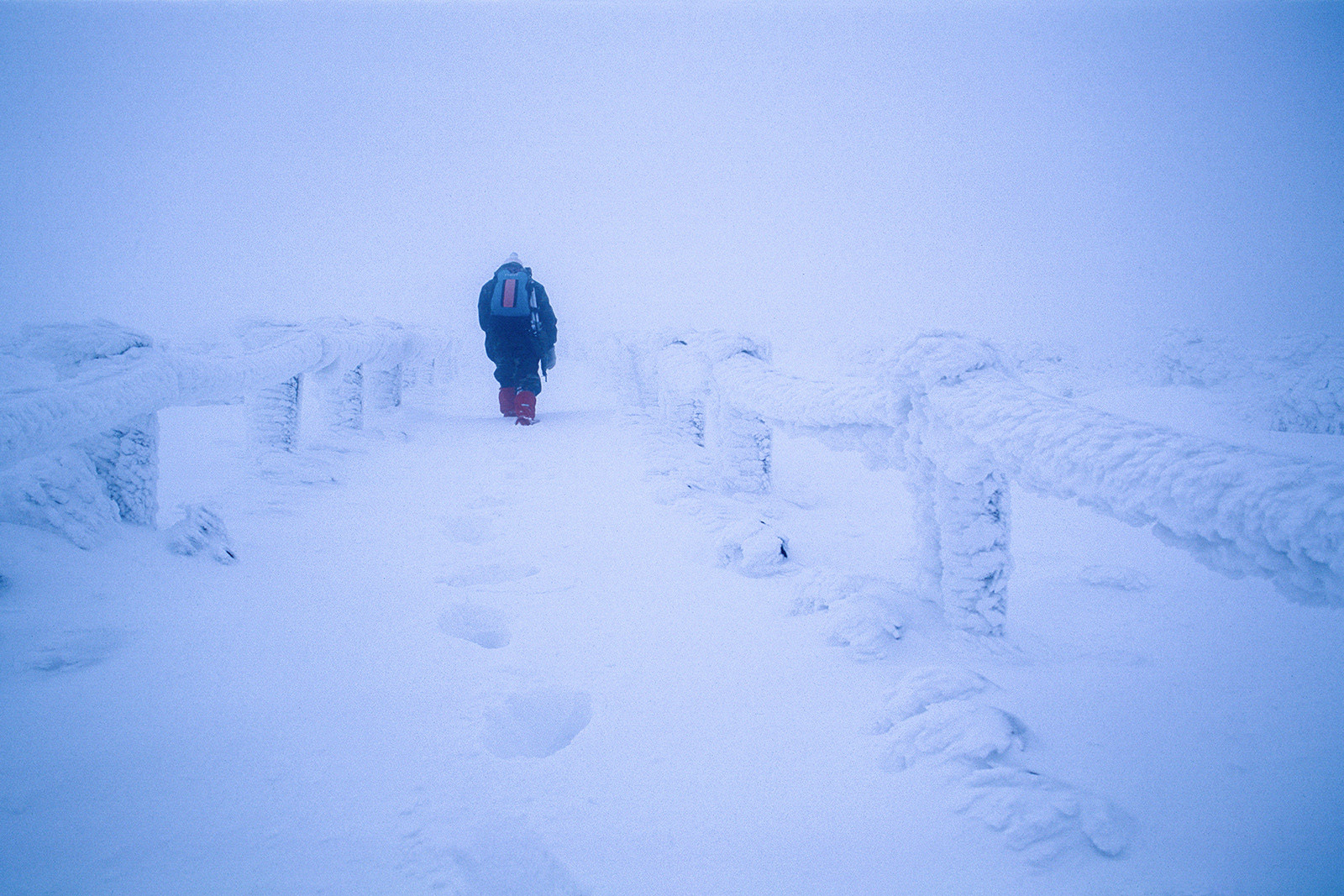 f39f7d3dfd42d9403fa7d6af2e3d82d8_1769719851_6059.jpg f39f7d3dfd42d9403fa7d6af2e3d82d8_1769719851_6059.jpg