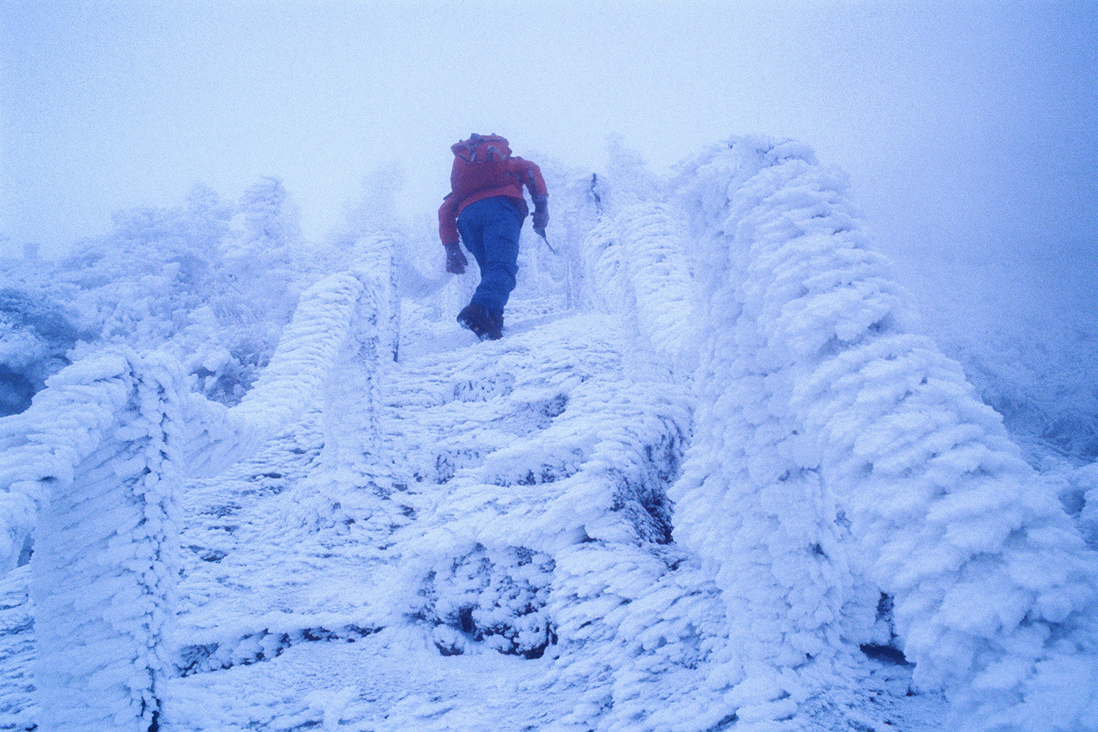 f39f7d3dfd42d9403fa7d6af2e3d82d8_1769719851_8648.jpg f39f7d3dfd42d9403fa7d6af2e3d82d8_1769719851_8648.jpg