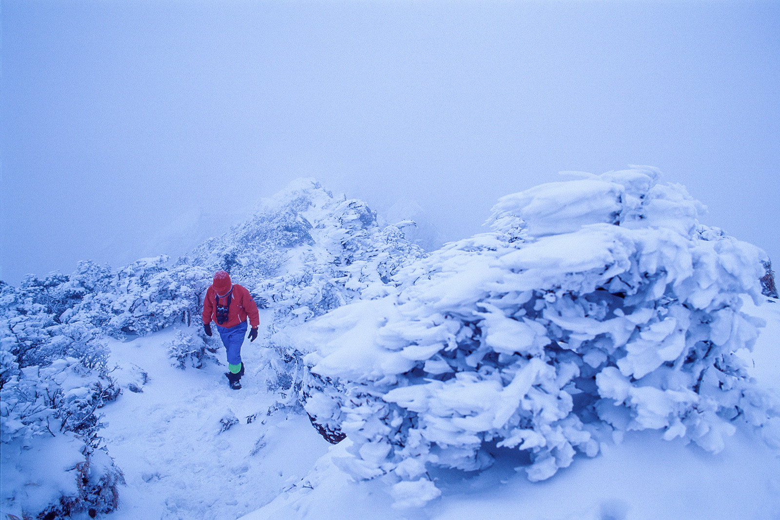 f39f7d3dfd42d9403fa7d6af2e3d82d8_1769719852_0891.jpg f39f7d3dfd42d9403fa7d6af2e3d82d8_1769719852_0891.jpg