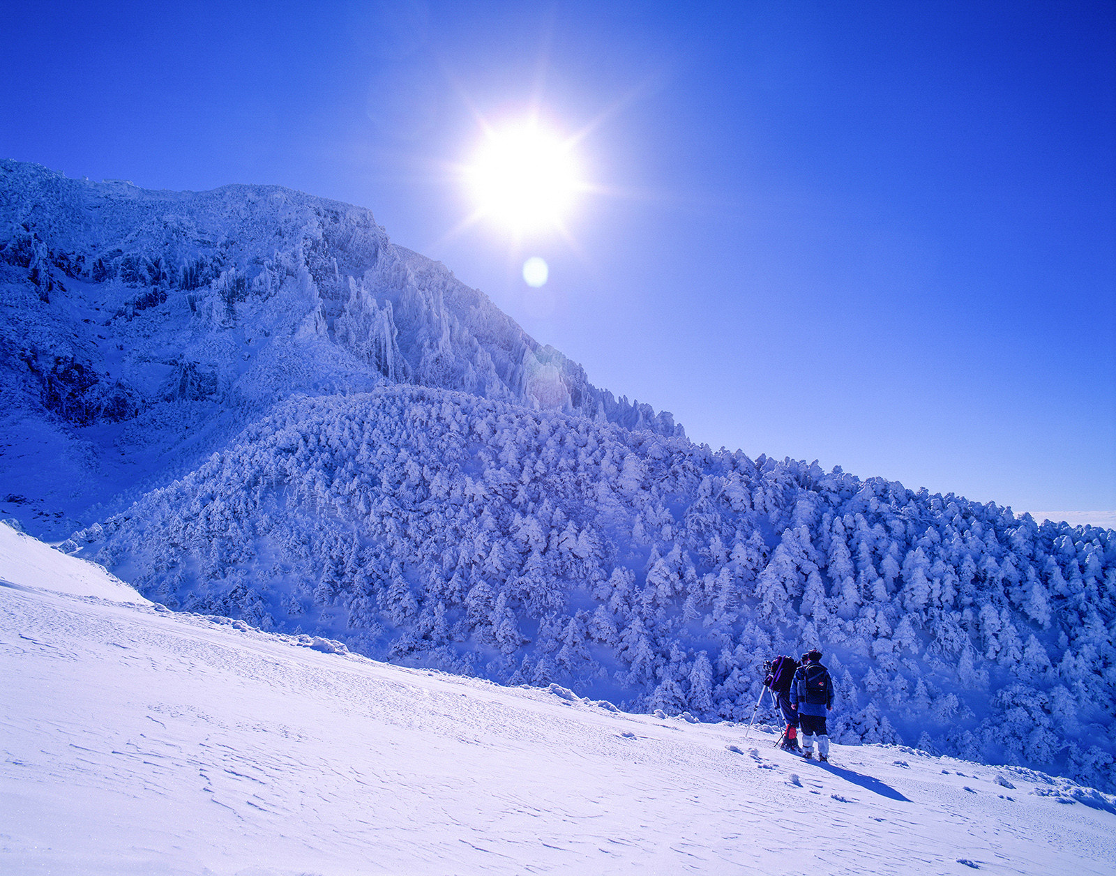 f39f7d3dfd42d9403fa7d6af2e3d82d8_1769719868_859.jpg f39f7d3dfd42d9403fa7d6af2e3d82d8_1769719868_859.jpg