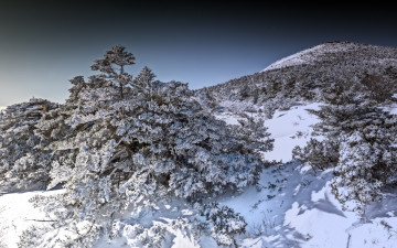 걷다보면 한라산 정상