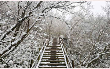 아쉬운 월출산 출사_2026-01-24(토)