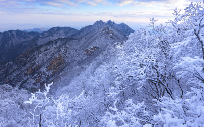 계룡산 설경