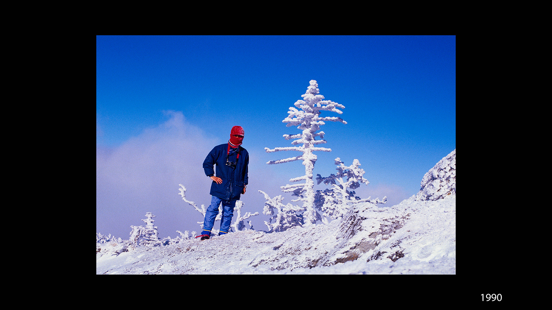 f78511fa7746331172f51c0c391e1302_1769981786_795.jpg f78511fa7746331172f51c0c391e1302_1769981786_795.jpg