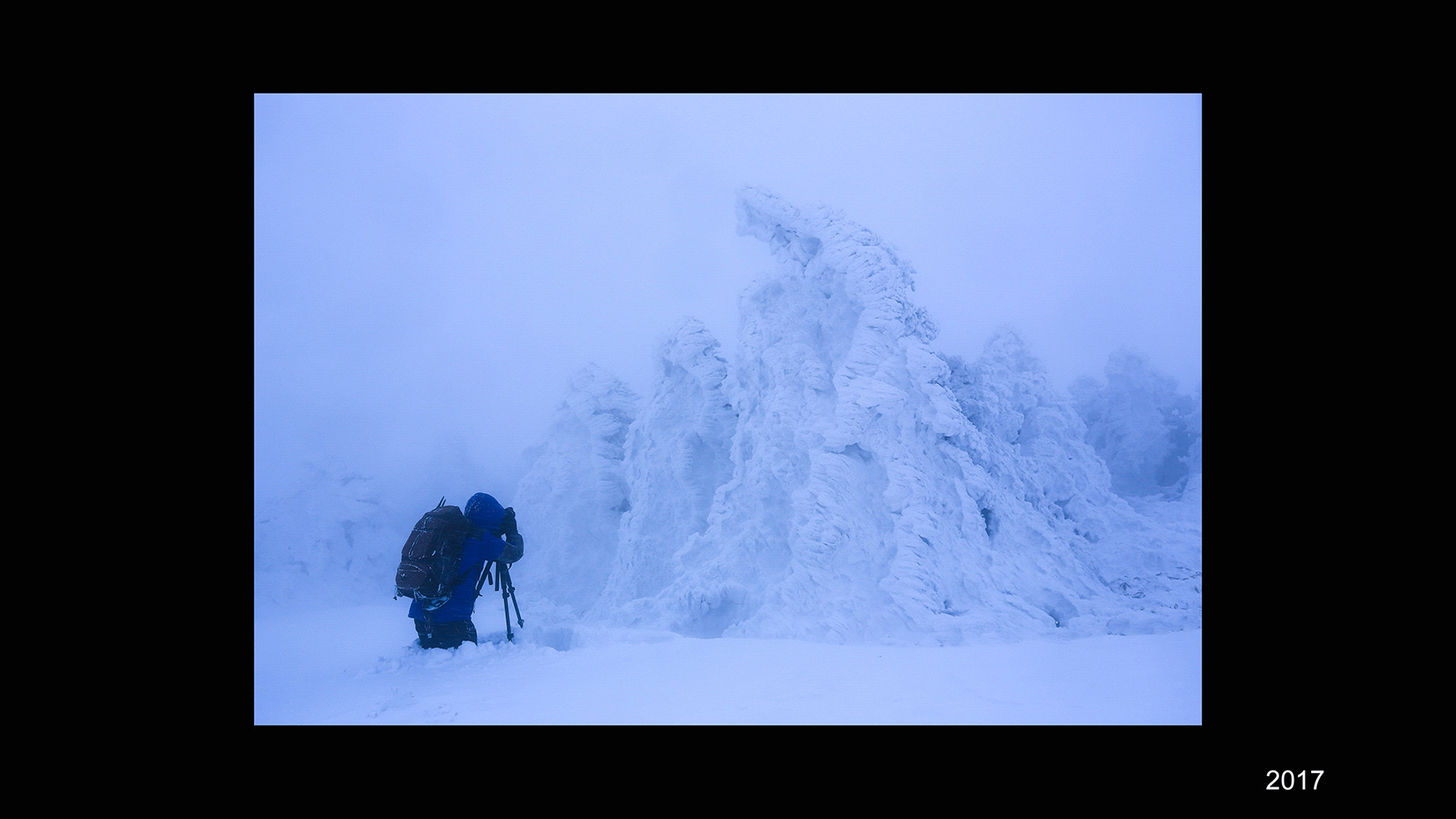 f78511fa7746331172f51c0c391e1302_1769982906_1973.jpg f78511fa7746331172f51c0c391e1302_1769982906_1973.jpg