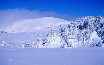 어리목 트렉에서-