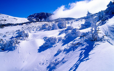 어리목 트렉에서-