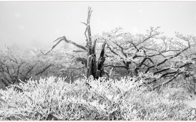 2박3일 덕유산 풍경들_2026