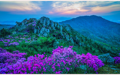 주작산의 추억_2025 - 덕룡산(주작산)