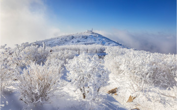천제단을 바라보며~!!!!