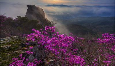 협회 모임 숙제~!!! - 금정산