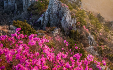 주작산 - 덕룡산(주작산)