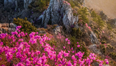 주작산 - 덕룡산(주작산)