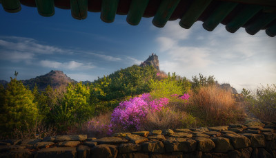 금정산의 봄 - 금정산