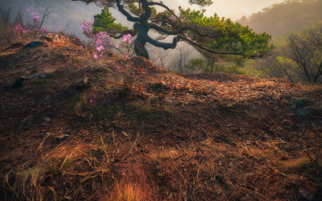 갈기산 갈기봉 - 갈기산